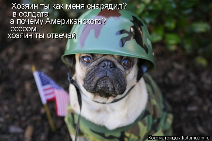 Хозяин ты как меня снарядил? в солдата а почему Американского? эээээм хозяин ты отвечай... Котоматрица: Хозяин ты как меня снарядил? в солдата а почему Американского? эээээм хозяин ты отвечай