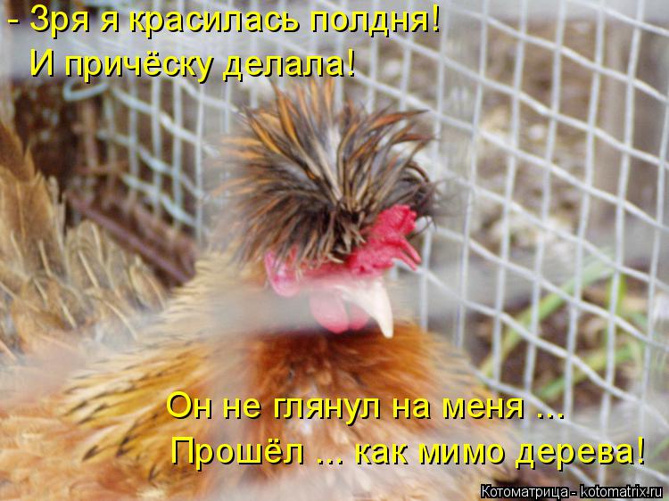 - Зря я красилась полдня! И причёску делала! Он не глянул на меня ... Прошёл ... как мимо дерева!... Котоматрица: - Зря я красилась полдня! И причёску делала! Он не глянул на меня ... Прошёл ... как мимо дерева!