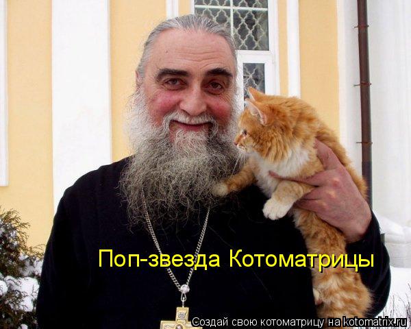 Поп-звезда Котоматрицы... Котоматрица: Поп-звезда Котоматрицы