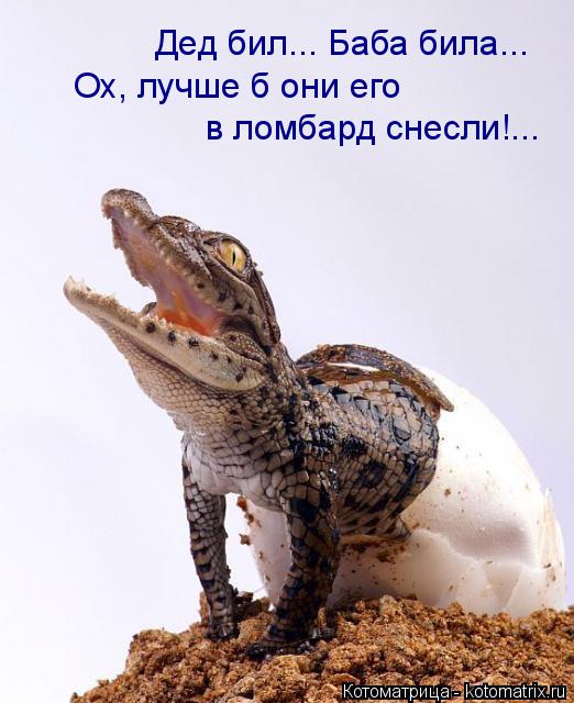 Котоматрица: Дед бил... Баба била... Ох, лучше б они его в ломбард снесли!...