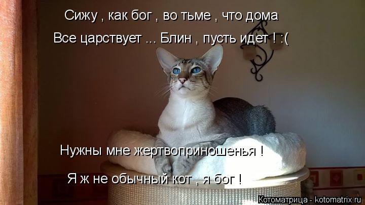 Котоматрица: Сижу , как бог , во тьме , что дома  Все царствует ... Блин , пусть идет ! :( Нужны мне жертвоприношенья ! Я ж не обычный кот , я бог !