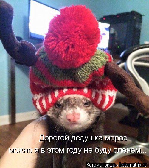 Дорогой дедушка мороз можно я в этом году не буду оленем...... Котоматрица: Дорогой дедушка мороз можно я в этом году не буду оленем...