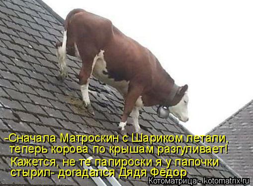 теперь корова по крышам разгуливает! Кажется, не те папироски я у папочки стырил- догадался Дядя Фёд... Котоматрица: теперь корова по крышам разгуливает! Кажется, не те папироски я у папочки стырил- догадался Дядя Фёдор стырил- догадался Дядя Фёдор -Сначал