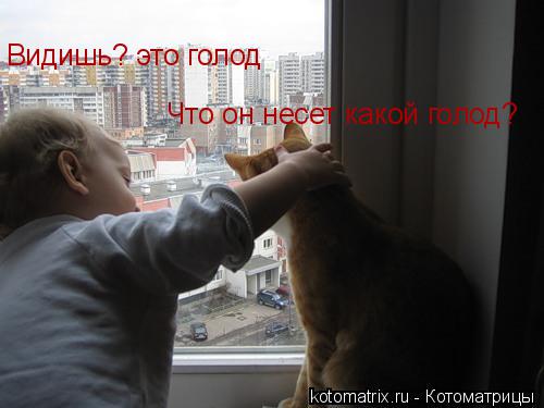 Видишь? это голод Что он несет какой голод?... Котоматрица: Видишь? это голод Что он несет какой голод?