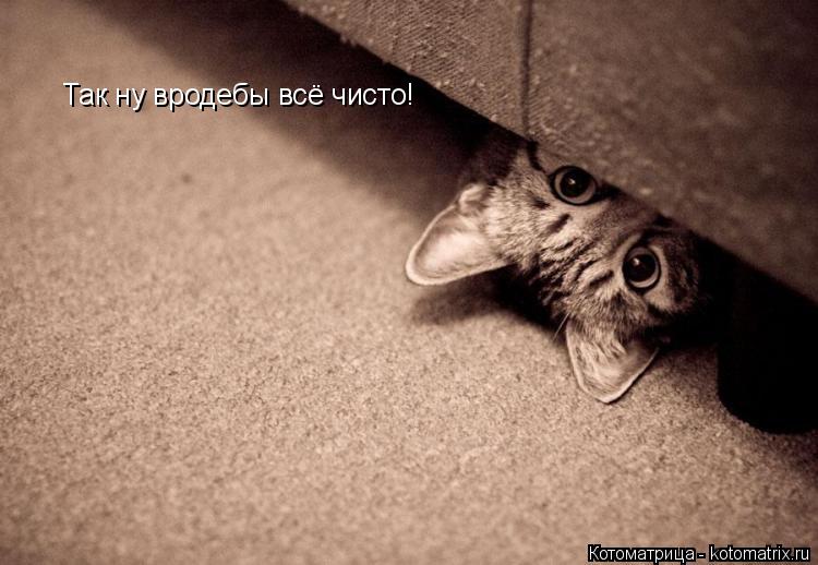 Так ну вродебы всё чисто!... Котоматрица: Так ну вродебы всё чисто!
