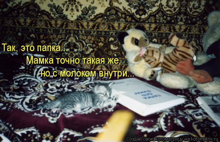 Так, это папка... Мамка точно такая же, но с молоком внутри...... Котоматрица: Так, это папка... Мамка точно такая же, но с молоком внутри...