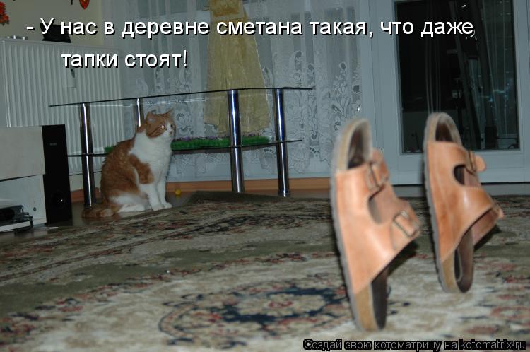 Котоматрица: - У нас в деревне сметана такая, что даже тапки стоят!