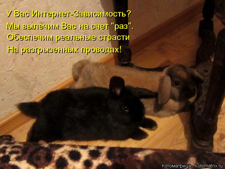 У Вас Интернет-Зависимость? Обеспечим реальные страсти Мы вылечим Вас на счет "раз". На разгрызенных ... Котоматрица: У Вас Интернет-Зависимость? Обеспечим реальные страсти Мы вылечим Вас на счет "раз". На разгрызенных проводах!