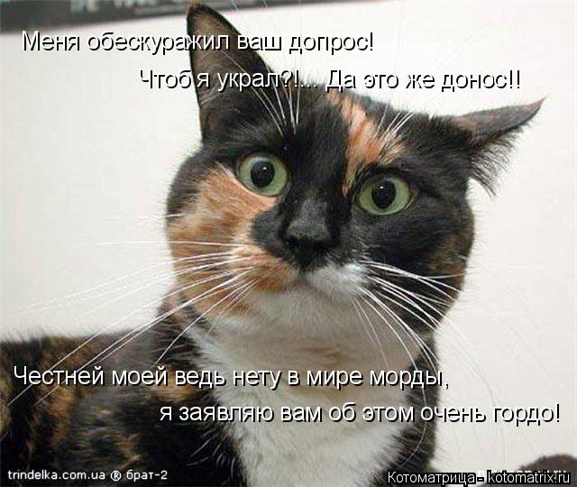 Меня обескуражил ваш допрос! Чтоб я украл?!... Да это же донос!! Честней моей ведь нету в мире морды... Котоматрица: Меня обескуражил ваш допрос! Чтоб я украл?!... Да это же донос!! Честней моей ведь нету в мире морды, я заявляю вам об этом очень гордо!