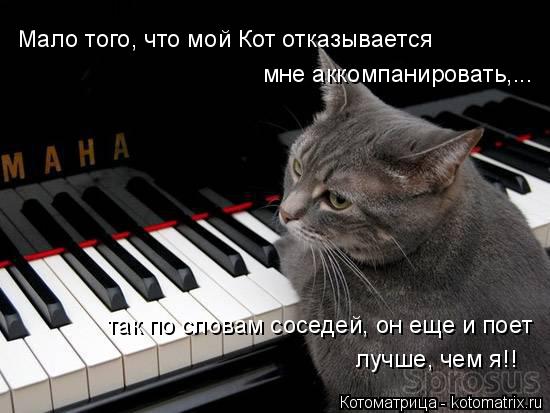 Мало того, что мой Кот отказывается мне аккомпанировать,... так по словам соседей, он еще и поет лучш... Котоматрица: Мало того, что мой Кот отказывается мне аккомпанировать,... так по словам соседей, он еще и поет лучше, чем я!!