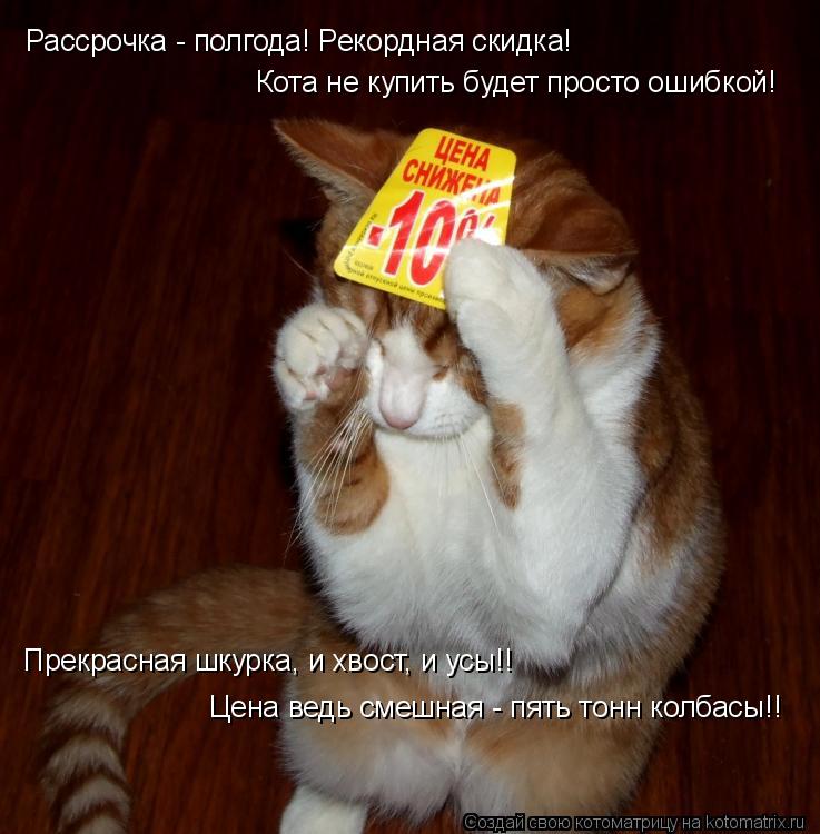 Рассрочка - полгода! Рекордная скидка! Кота не купить будет просто ошибкой! Прекрасная шкурка, и хвос... Котоматрица: Рассрочка - полгода! Рекордная скидка! Кота не купить будет просто ошибкой! Прекрасная шкурка, и хвост, и усы!! Цена ведь смешная - пять тонн к