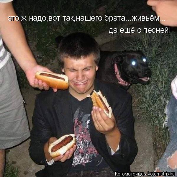 это ж надо,вот так,нашего брата...живьём... да ещё с песней!... Котоматрица: это ж надо,вот так,нашего брата...живьём... да ещё с песней!