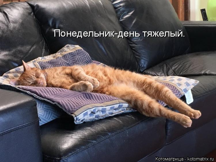 Понедельник-день тяжелый.... Котоматрица: Понедельник-день тяжелый.