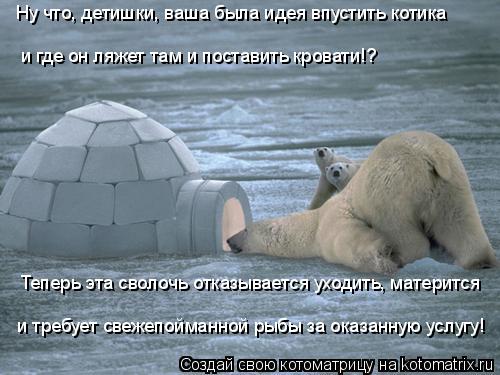 Ну что, детишки, ваша была идея впустить котика и где он ляжет там и поставить кровати!? Теперь эта с... Котоматрица: Ну что, детишки, ваша была идея впустить котика и где он ляжет там и поставить кровати!? Теперь эта сволочь отказывается уходить, матерится и