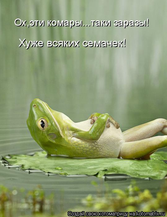 Котоматрица: Ох,эти комары...таки заразы! Хуже всяких семачек!