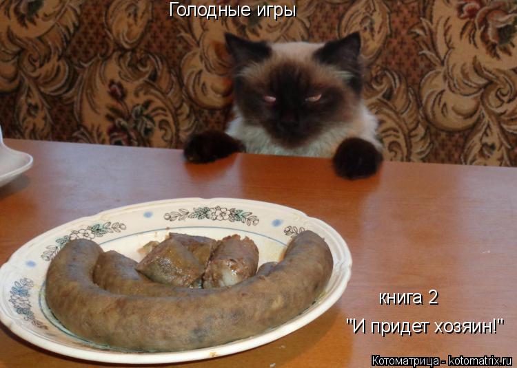 Голодные игры книга 2 "И придет хозяин!"... Котоматрица: Голодные игры книга 2 "И придет хозяин!"