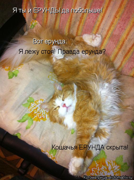 Я ты и ЕРУНДЫ да побольше! Вот ерунда: Я лежу стоя! Правда ерунда? Кошачья ЕРУНДА скрыта!... Котоматрица: Я ты и ЕРУНДЫ да побольше! Вот ерунда: Я лежу стоя! Правда ерунда? Кошачья ЕРУНДА скрыта!