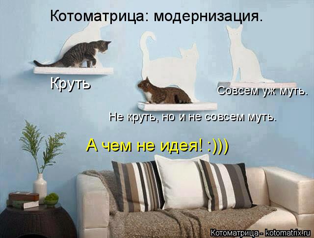 Котоматрица: модернизация. Круть Не круть, но и не совсем муть. Совсем уж муть. А чем не идея! :)))... Котоматрица: Котоматрица: модернизация. Круть Не круть, но и не совсем муть. Совсем уж муть. А чем не идея! :)))