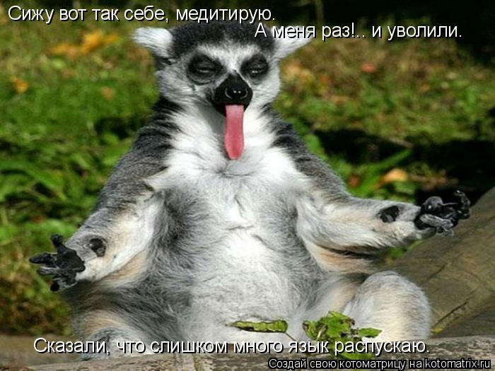 Сижу вот так себе, медитирую. А меня раз!.. и уволили. Сказали, что слишком много язык распускаю.... Котоматрица: Сижу вот так себе, медитирую. А меня раз!.. и уволили. Сказали, что слишком много язык распускаю.