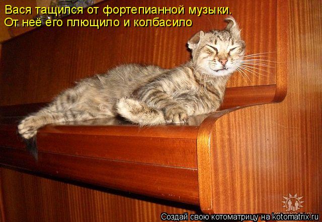 Котоматрица: Вася тащился от фортепианной музыки.  От неё его плющило и колбасило