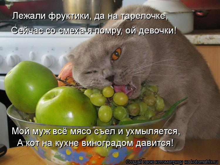 Лежали фруктики, да на тарелочке, Сейчас со смеха я помру, ой девочки! Мой муж всё мясо съел и ухмыл... Котоматрица: Лежали фруктики, да на тарелочке, Сейчас со смеха я помру, ой девочки! Мой муж всё мясо съел и ухмыляется, А кот на кухне виноградом давится!