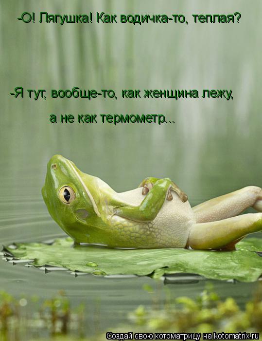 Котоматрица: -О! Лягушка! Как водичка-то, теплая? -Я тут, вообще-то, как женщина лежу, а не как термометр...