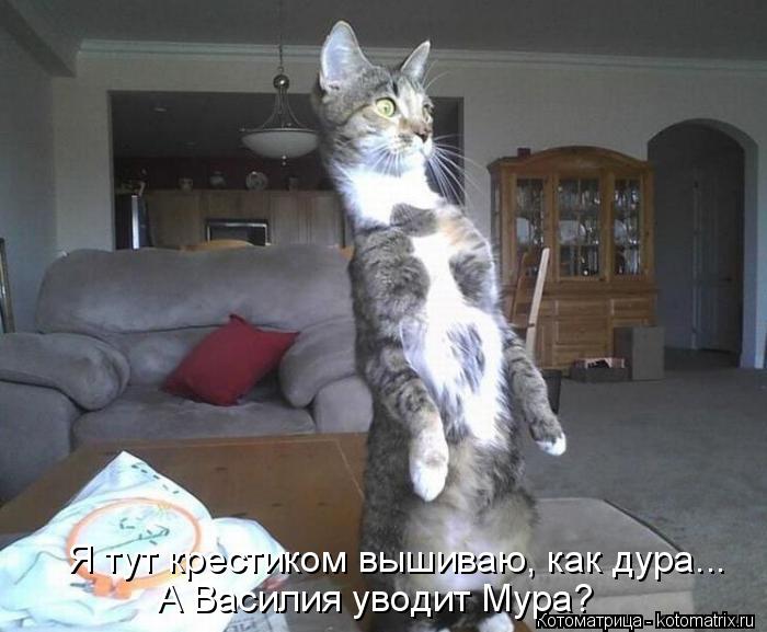 Я тут крестиком вышиваю, как дура... А Василия уводит Мура?... Котоматрица: Я тут крестиком вышиваю, как дура... А Василия уводит Мура?