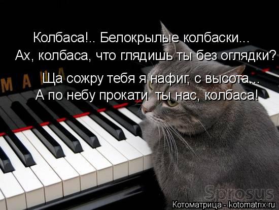 Колбаса!.. Белокрылые колбаски... Ах, колбаса, что глядишь ты без оглядки? Ща сожру тебя я нафиг, с ... Котоматрица: Колбаса!.. Белокрылые колбаски... Ах, колбаса, что глядишь ты без оглядки? Ща сожру тебя я нафиг, с высота... Ща сожру тебя я нафиг, с высота... А п
