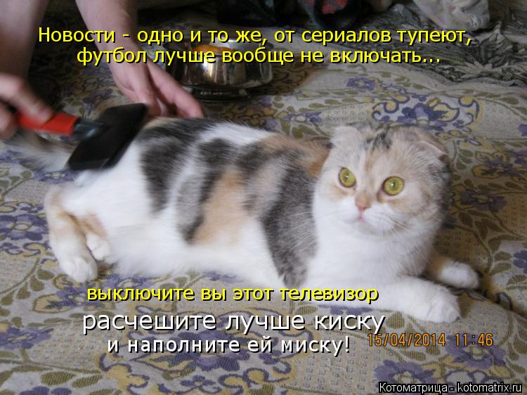 Новости - одно и то же, от сериалов тупеют, футбол лучше вообще не включать... выключите вы этот тел... Котоматрица: Новости - одно и то же, от сериалов тупеют, футбол лучше вообще не включать... выключите вы этот телевизор расчешите лучше киску и наполните