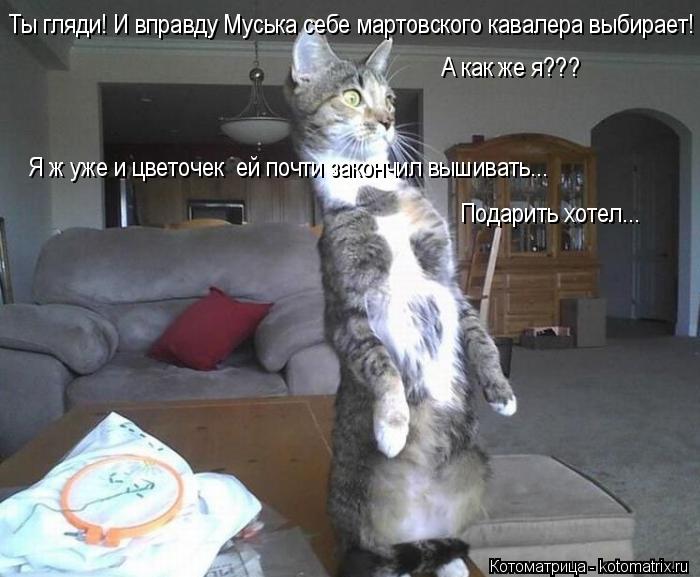 Ты гляди! И вправду Муська себе мартовского кавалера выбирает! А как же я??? Я ж уже и цветочек ей п... Котоматрица: Ты гляди! И вправду Муська себе мартовского кавалера выбирает! А как же я??? Я ж уже и цветочек ей почти закончил вышивать... Подарить хотел...