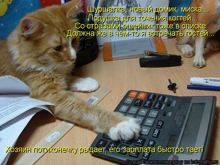 Шуршалка, новый домик, миска... Должна же в чём-то я встречать гостей... Со стразами ошейник тоже в с... Котоматрица: Шуршалка, новый домик, миска... Должна же в чём-то я встречать гостей... Со стразами ошейник тоже в списке Подушка для точения когтей... Хозяин