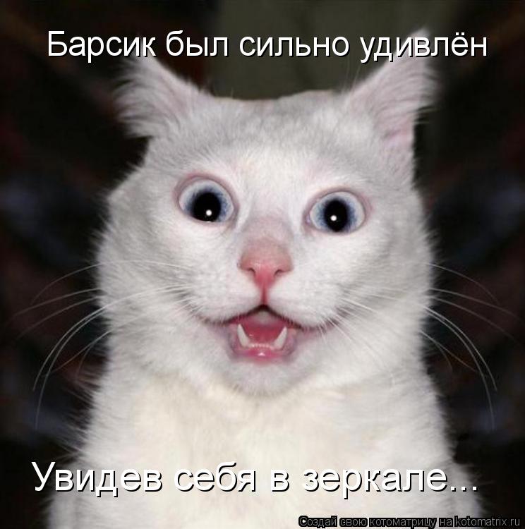 Барсик был сильно удивлён Увидев себя в зеркале...... Котоматрица: Барсик был сильно удивлён Увидев себя в зеркале...