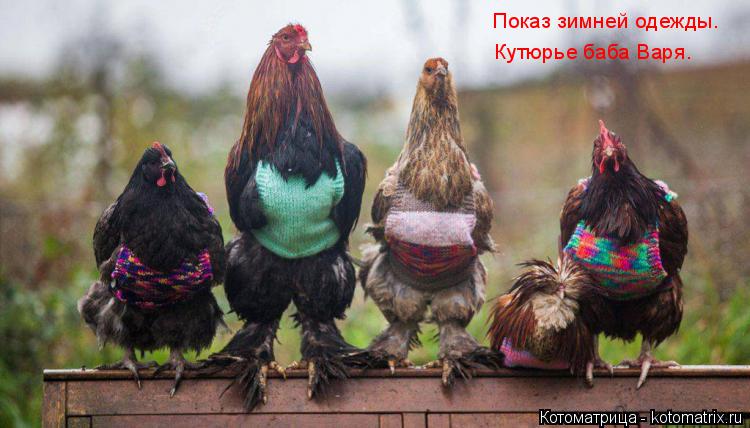 Показ зимней одежды. Кутюрье баба Варя.... Котоматрица: Показ зимней одежды. Кутюрье баба Варя.