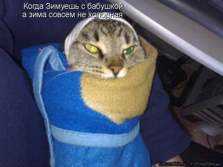 Когда Зимуешь с бабушкой а зима совсем не холодная... Котоматрица: Когда Зимуешь с бабушкой а зима совсем не холодная