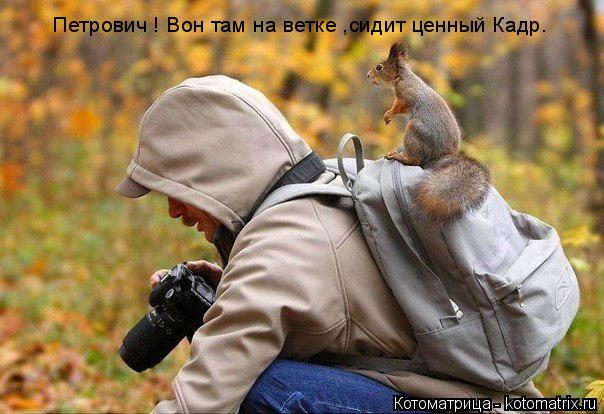 Петрович ! Вон там на ветке ,сидит ценный Кадр.... Котоматрица: Петрович ! Вон там на ветке ,сидит ценный Кадр.