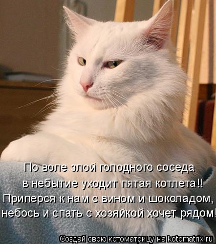 Котоматрица: По воле злой голодного соседа в небытие уходит пятая котлета!! Приперся к нам с вином и шоколадом, небось и спать с хозяйкой хочет рядом!!