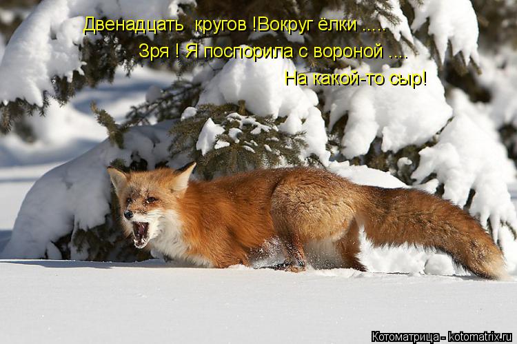 Зря ! Я поспорила с вороной .... На какой-то сыр! Двенадцать кругов !Вокруг ёлки ........ Котоматрица: Зря ! Я поспорила с вороной .... На какой-то сыр! Двенадцать кругов !Вокруг ёлки .....