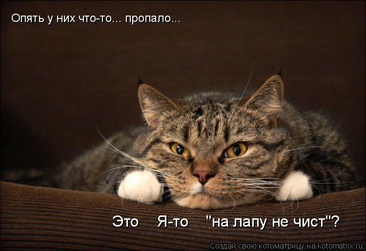 Опять у них что-то... пропало... Это Я-то "на лапу не чист"?... Котоматрица: Опять у них что-то... пропало... Это Я-то "на лапу не чист"?