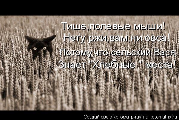 Нету ржи,вам,ни овса! Потому,что сельский Вася Знает "Хлебные " места! Тише,полевые мыши!... Котоматрица: Нету ржи,вам,ни овса! Потому,что сельский Вася Знает "Хлебные " места! Тише,полевые мыши!