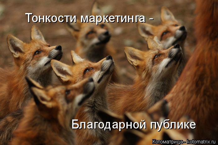 Тонкости маркетинга - Благодарной публике Тонкости маркетинга -... Котоматрица: Тонкости маркетинга - Благодарной публике Тонкости маркетинга -