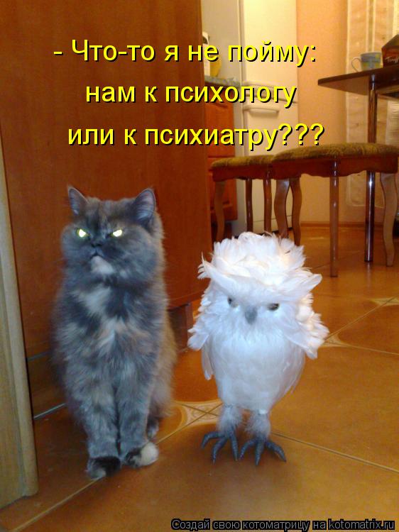 - Что-то я не пойму: нам к психологу или к психиатру???... Котоматрица: - Что-то я не пойму: нам к психологу или к психиатру???