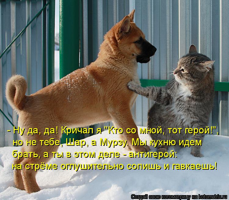 - Ну да, да! Кричал я "Кто со мной, тот герой!", но не тебе, Шар, а Мурзу. Мы кухню идем брать, а т... Котоматрица: - Ну да, да! Кричал я "Кто со мной, тот герой!", но не тебе, Шар, а Мурзу. Мы кухню идем брать, а ты в этом деле - антигерой: на стрёме оглушительно