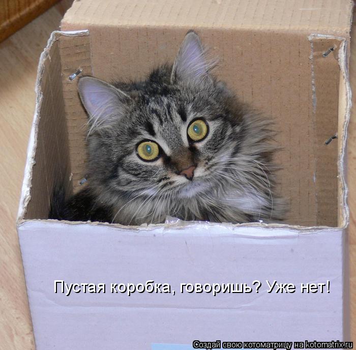 Пустая коробка, говоришь? Уже нет!... Котоматрица: Пустая коробка, говоришь? Уже нет!