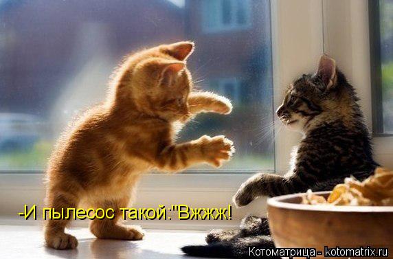 Котоматрица: -И пылесос такой:"Вжжж!