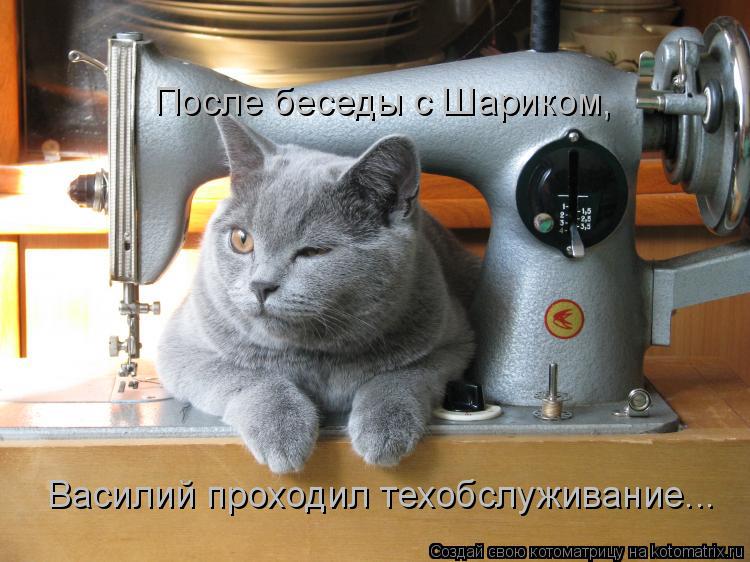 Котоматрица: После беседы с Шариком,  Василий проходил техобслуживание...