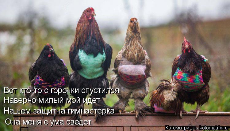 Вот кто-то с горочки спустился Наверно милый мой идет На нем защитна гимнастерка Она меня с ума сведе... Котоматрица: Вот кто-то с горочки спустился Наверно милый мой идет На нем защитна гимнастерка Она меня с ума сведет