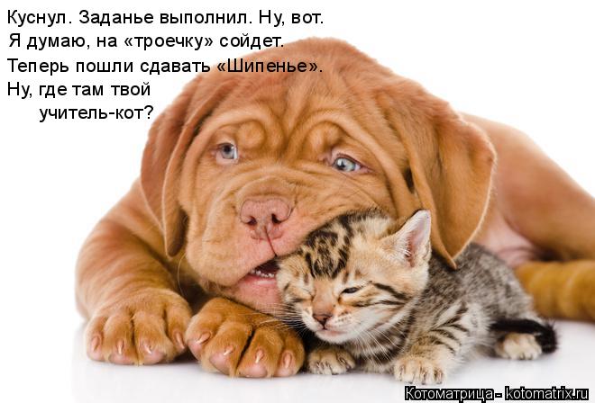 Куснул. Заданье выполнил. Ну, вот. Я думаю, на «троечку» сойдет. Теперь пошли сдавать «Шипенье». Ну,... Котоматрица: Куснул. Заданье выполнил. Ну, вот. Я думаю, на «троечку» сойдет. Теперь пошли сдавать «Шипенье». Ну, где там твой учитель-кот?