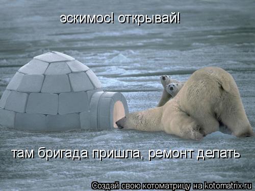эскимос! открывай! там бригада пришла, ремонт делать... Котоматрица: эскимос! открывай! там бригада пришла, ремонт делать