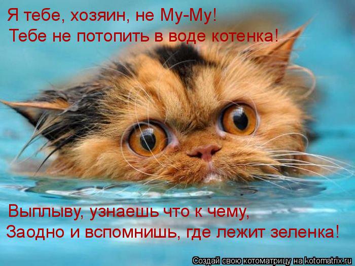 Я тебе, хозяин, не Му-Му! Тебе не потопить в воде котенка! Выплыву, узнаешь что к чему, Заодно и вспо... Котоматрица: Я тебе, хозяин, не Му-Му! Тебе не потопить в воде котенка! Выплыву, узнаешь что к чему, Заодно и вспомнишь, где лежит зеленка!