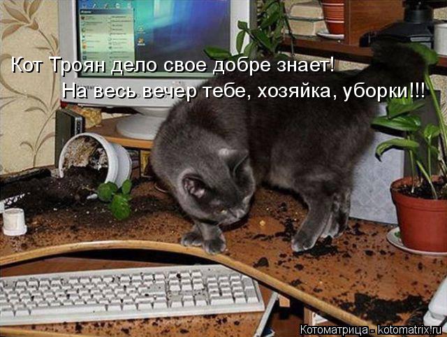 Кот Троян дело свое добре знает! На весь вечер тебе, хозяйка, уборки!!!... Котоматрица: Кот Троян дело свое добре знает! На весь вечер тебе, хозяйка, уборки!!!